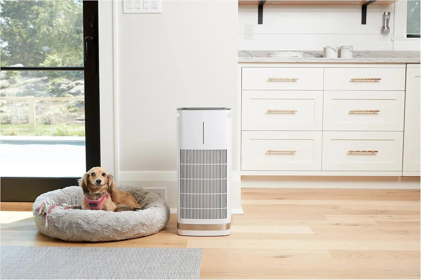Cuisinart Air Purifier for Large Room/Home, H13 HEPA Filter, CAP-1000